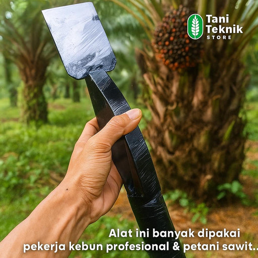 Dodos Kastrasi Sawit No.1 - Alat Buang Bunga Sawit Baja Per