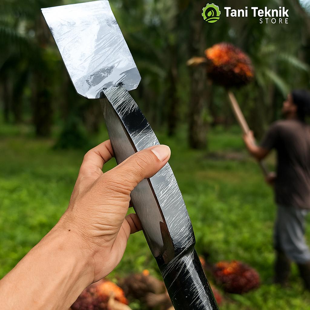 Dodos Kastrasi Sawit No.1 - Alat Buang Bunga Sawit Baja Per