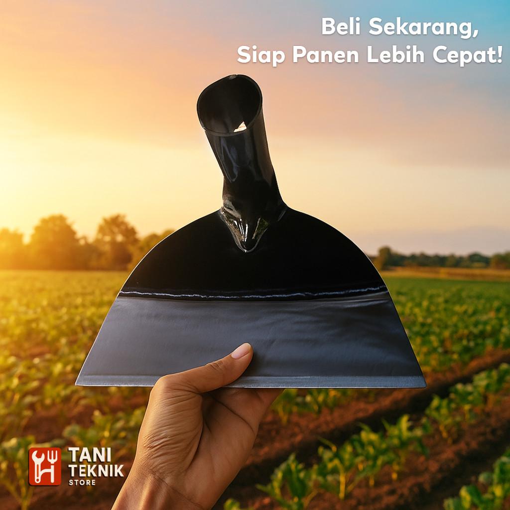 Kepala Cangkul brazil Baja Hitam 26cm – Tajam & Kuat | Alat Pertanian Garuk Tanah Keras Rumput Ladang